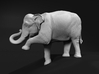 Indian Elephant 1:20 Female on top of slope 3d printed 