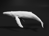 Humpback Whale 1:350 Swimming Female 3d printed 