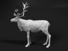 Reindeer 1:9 Standing Male 1 3d printed 