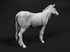 Plains Zebra 1:120 Standing Female 3d printed 