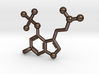 Psilocybin Magic Mushroom Molecule  3d printed 