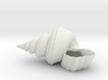 Shell Planter 3d printed 