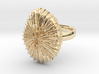 Fungia Coral Ring - Marine Biology Jewelry 3d printed 