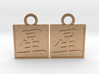 Kanji Pendant - Star/Hoshi 3d printed 