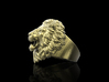 Lion Ring No.6_Mouth Open_8 US 3d printed 