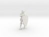 Knight Of Norway 3d printed 