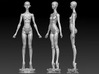 girl-manikin-natural torso 3d printed Natural Girl Torso- only includes the Torso, can be assembled in to a full Natural girl manikin