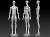 manikin stand- FOR BOY & GIRL BODIES 3d printed full manikin stand for boys and girls - only includes the stand can be assembled in to a full Narrow shoulder boy manikin