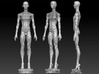 boy-manikin-broad chest-  also for 2019 boys 3d printed Broad Chest boy (manikin) - only includes the chest, can be assembled in to a full broad boy manikin
