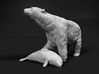 Polar Bear 1:16 Female with Ringed Seal 3d printed 