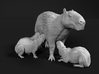 Capybara 1:12 Mother with three young 3d printed 