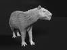 Capybara 1:12 Standing Female 3d printed 