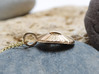 Single Coccolith Pendant - Marine Biology 3d printed Single Coccolith pendant in 14K gold plated brass