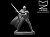 Knight Female 3d printed 