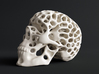 Skull - Reaction Diffusion Sculpture 3d printed 