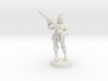 Steampunk Musketeer 3d printed 