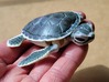 Full-Color Articulated Sea Turtle 3d printed 