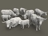 Highland Cattle Set 1:160 nine different pieces 3d printed 