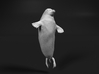 Ringed Seal 1:160 Head above the water 3d printed 
