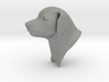 Young Labrador Bust 3" tall  3d printed 