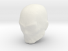 Masked wrestler head (Blank) Origins 3d printed 