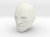 Masked wrestler head (Demon) Origins 3d printed 