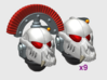 10x Wolf Skull - G:6 Crow Squad Helmets 3d printed 