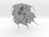 Trilobite - Boedaspis ensifer 3d printed 