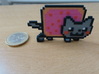 Nyan Cat 3d printed Front view