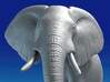 African Elephant 3d printed 