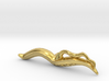 C. elegans Nematode Worm Lapel Pin/Brooch 3d printed 