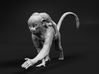 Squirrel Monkey 1:6 Female with baby 2 3d printed 