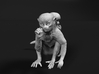 Squirrel Monkey 1:6 Female with baby 1 3d printed 