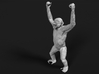 Chimpanzee 1:9 Male with raised arms 3d printed 