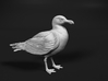Glaucous Gull 1:16 Standing 2 3d printed 
