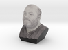Nigels heed black and white Bust 3d printed 
