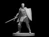 Human Male War Cleric 3d printed 