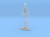 1-35 Scale Standing Skeleton 3d printed 