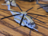 Sikorsky CH-53K King Stallion 3d printed 