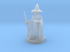 Gnome Wizard 3d printed 