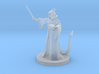 Tiefling Wizard  with Glasses 3d printed 