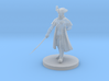Pirate Captain Male 3d printed 