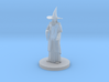 Old Wizard 3d printed 