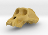 Gorila ♂ cranium 3d printed 