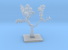 Family Tree - Coopers, 4 generations 3d printed 