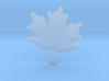 Maple Leaf Rock 3d printed 