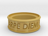 Carpe Diem Ring 5 Inch Diameter 3d printed 