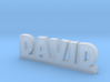 DAVID Lucky 3d printed 