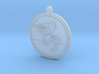Piping Plover Animal Totem Pendant 3d printed 