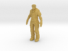 Printle V Homme 2610 - 1/87 - wob 3d printed 